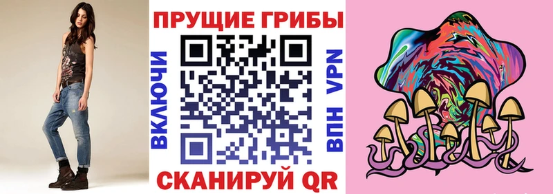 Купить где  Тобольск  Галлюциногенные грибы GOLDEN TEACHER 